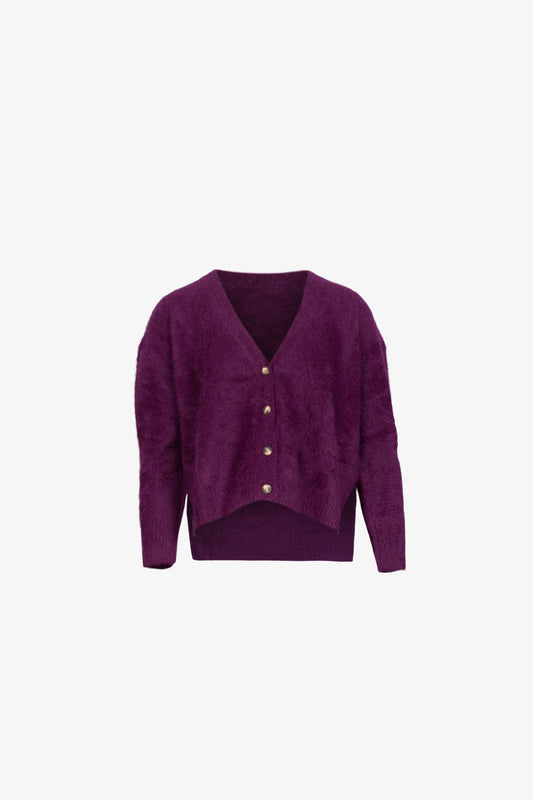 Purple Raccoon Buttoned Vest