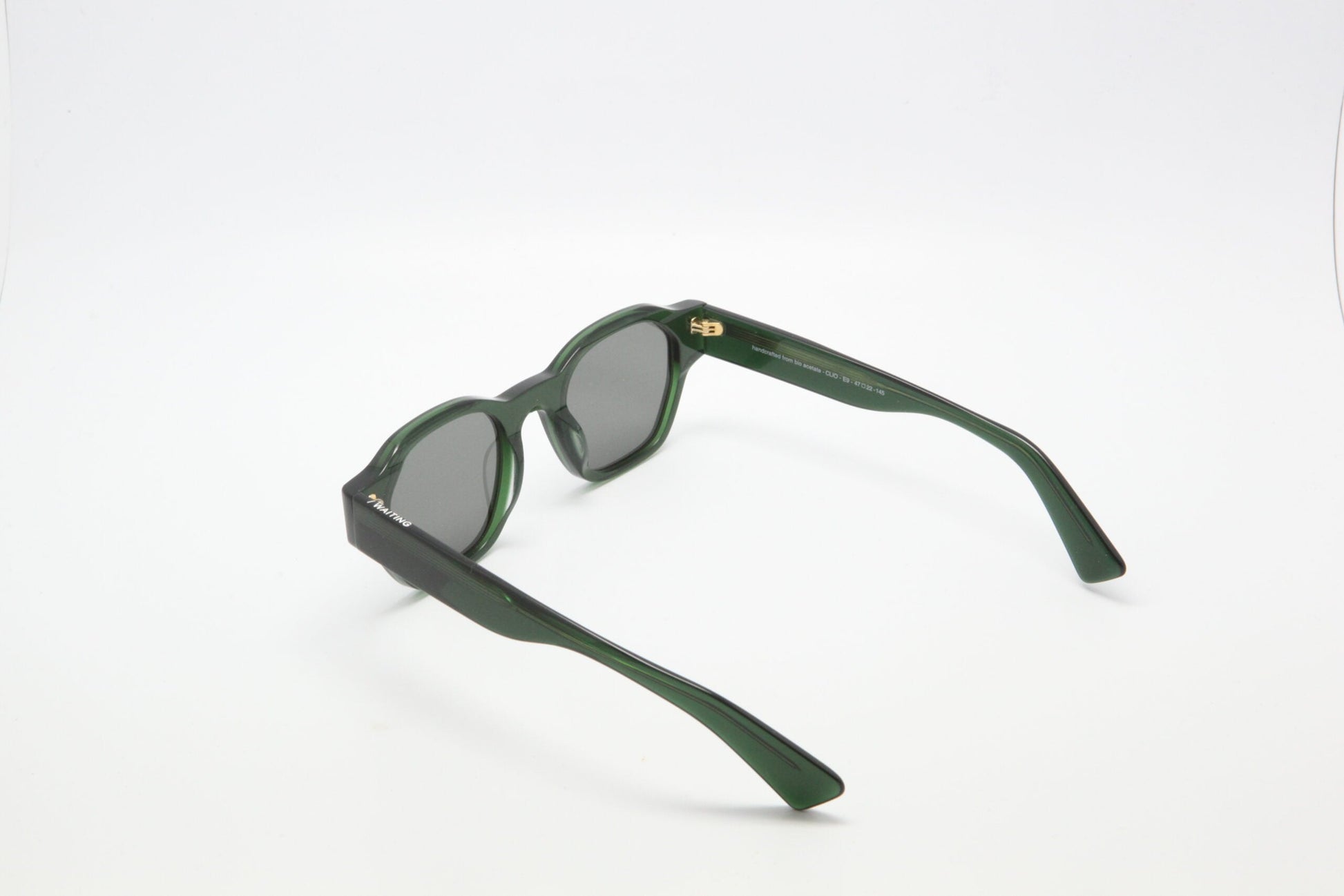 Clio Vert Cristal / Black Lens — Waiting For The Sun (4)