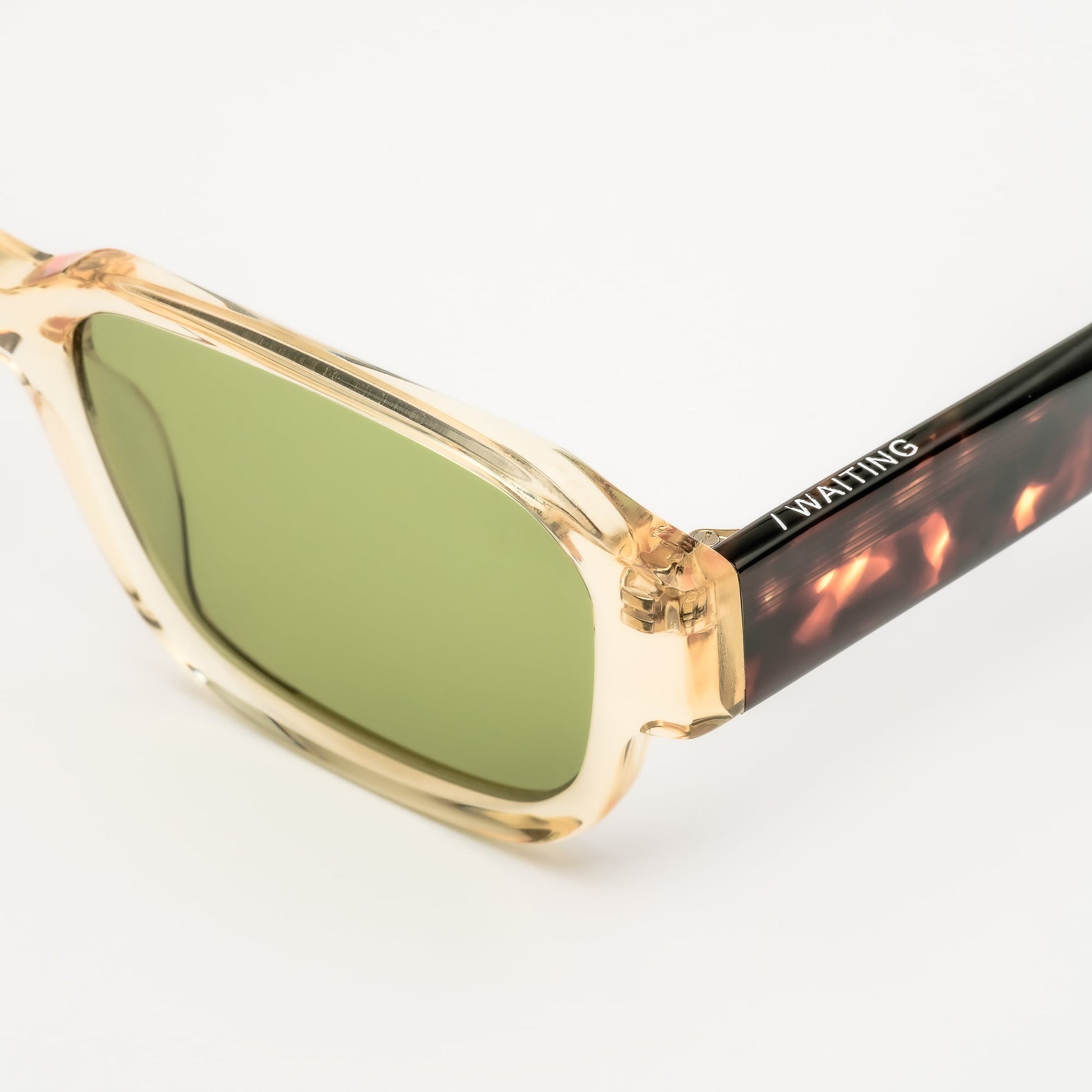 Ced Champagne - Ecaille foncé / Verres Vert profond — Waiting For The Sun (3)